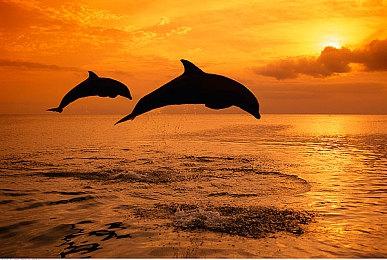 Steam现已下架停售《量子破碎》游戏